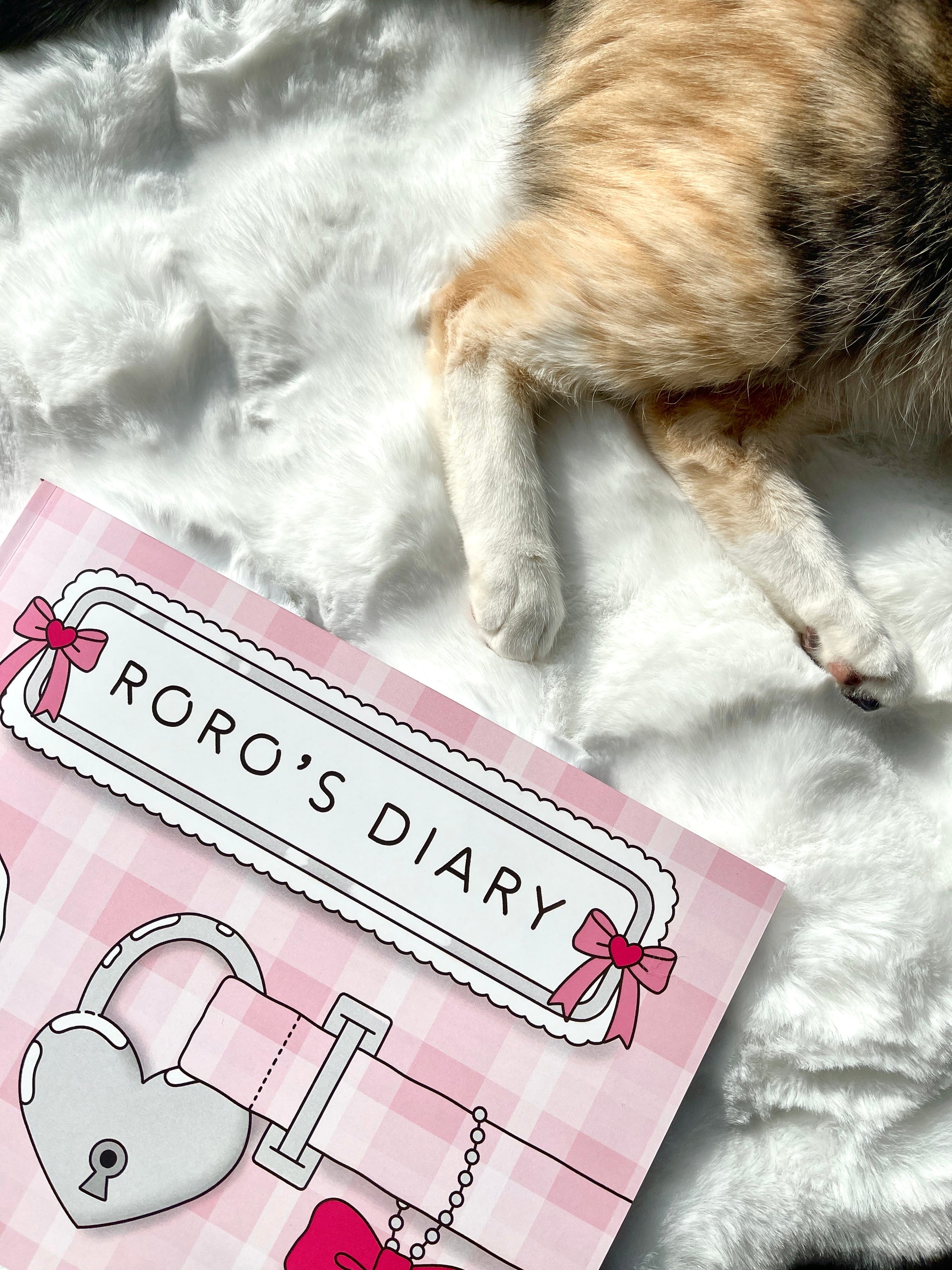 Roro's Diary Coloring Book Pdf