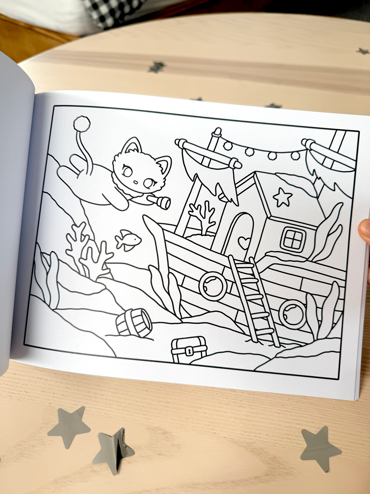 NEW Roro's Diary Coloring Book 'The Search'